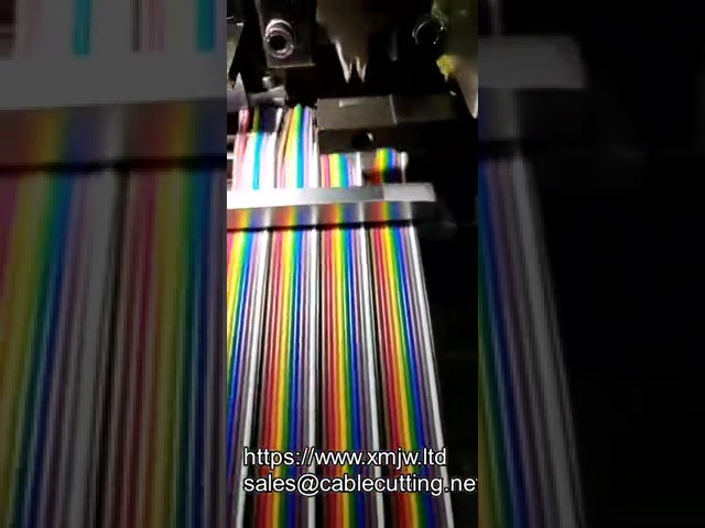 3 20p Yarı Otomatik Şerit Kablo Soyma ve Presleme Makinesi | 20-40 Pin Düz Kablo Sıyırma ve Kıvırma