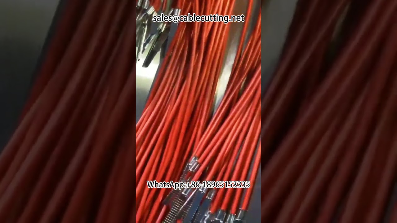 Çift Başlı Otomatik Kablo Sıyırma ve Su Geçirmez Fiş Crimp Makinesi #terminal mac