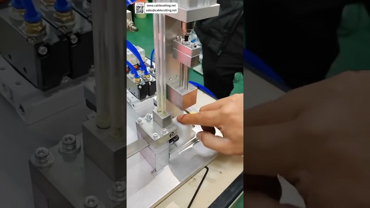 Manyetik Çekirdek Montaj Makinesi | Otomatik Pres Geçme - Çeşitli Mıknatıslar İçin