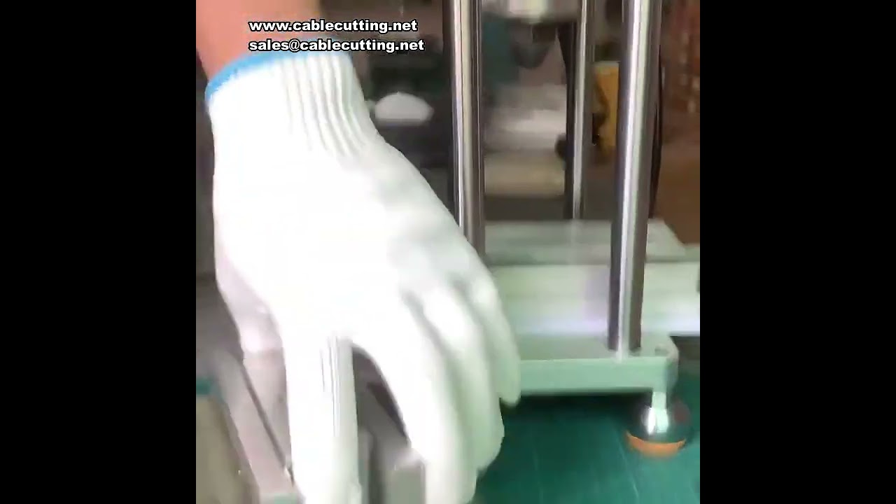 20-30g Kapasiteli 220V/110V Masaüstü Dikey Enjeksiyon Makinesi - Ev Tipi Plastik Enjeksiyon