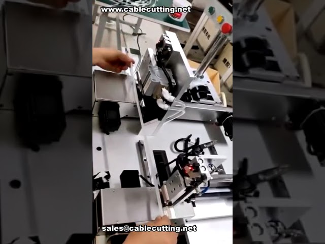 Hortumlar İçin Özel Çok Noktalı Bantlama Makinesi - Eş Zamanlı 19mm ve 30mm Bant Uygulaması