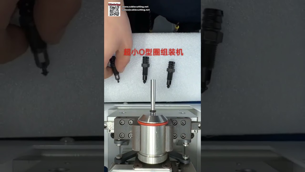 Yüksek Hacimli Otomatik O-Ring Conta Montaj Makinesi - Yağ Sızdırmazlık Bileşenleri Üretimi İçin